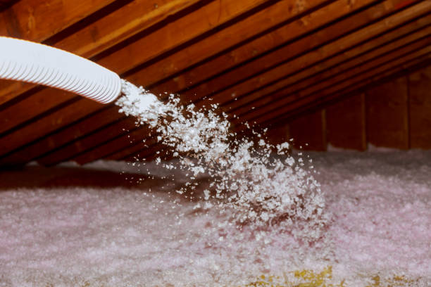 Best Local Insulation Services  in Leesburg, FL